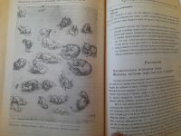 Лот: 24399900. Фото: 7. Научитесь мыслить и рисовать как...