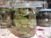 Лот: 2345080. Фото: 3. Грузди малышки эксклюзив. Красноярск
