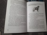 Лот: 21603903. Фото: 4. Любовь Самсонова Любительское... Красноярск