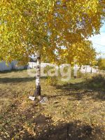 Лот: 25293266. Фото: 10. 3-комн. дача , СНТ Октябрьское...