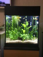 Лот: 12131172. Фото: 4. Крышка для аквариума. Красноярск