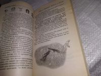 Лот: 17620153. Фото: 12. Леви Владимир - Семейные войны...