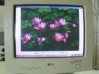 Лот: 62253. Фото: 3. Монитор LG 450N, 14". Компьютеры, оргтехника, канцтовары
