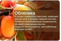 Лот: 8646726. Фото: 3. Бальзам для губ "Облепиха и апельсин... Красота и здоровье