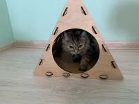 Лот: 19312959. Фото: 7. Домик