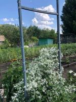 Лот: 25678816. Фото: 14. 2-комн. дача , территория СНТ...