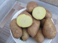 Лот: 14484715. Фото: 2. картофель сорт Тулеевский. Продукты