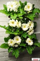 Лот: 7862335. Фото: 5. Фитомодуль 104х67 см для вертикального...