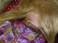 Лот: 19177709. Фото: 2. Кукла Даша ПО "Весна", г.Киров... Коллекционирование, моделизм