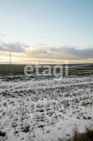 Лот: 25292827. Фото: 8. участок , СНТ Ладное СНТ Ладное...