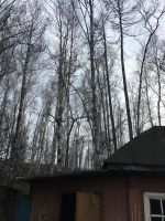 Лот: 11334054. Фото: 3. Дача в Красноярске под материнский... Недвижимость