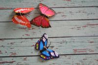 Лот: 10211825. Фото: 2. бабочки для декора пластик на... Предметы интерьера