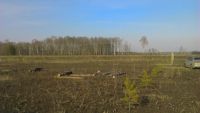 Лот: 11466082. Фото: 3. 2 участка по 12 соток за село... Недвижимость