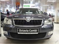 Лот: 5653156. Фото: 2. Защитная сетка радиатора Skoda... Автохимия, масла, тюнинг