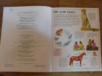 Лот: 2545515. Фото: 2. ВСЁ о животных от А до Я. Детям и родителям