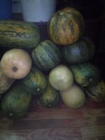 Лот: 18304006. Фото: 2. Кабочки цена за 1кг. Продукты