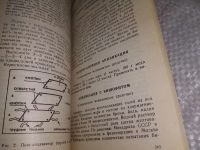 Лот: 5403046. Фото: 17. Поль Брегг, Р. Нордемар, "Позвоночник...