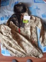 Лот: 14802583. Фото: 2. Костюм противоэнцефалитный "Таежный... Одежда и аксессуары