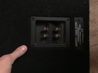 Лот: 10638828. Фото: 2. Сабвуфер eton force 10-600G. Автозвук