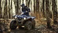 Лот: 25659255. Фото: 5. Квадроцикл YAMAHA Grizzly 700...