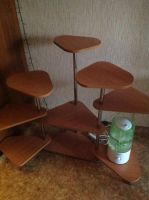 Лот: 8256155. Фото: 2. Растения. Комнатные растения и уход