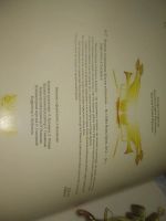 Лот: 25547090. Фото: 8. оз..вбр..(00-37) Великие полководцы...