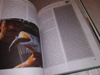 Лот: 16725592. Фото: 9. oz меш. (01..03) Энциклопедия...