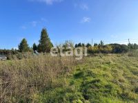 Лот: 25290307. Фото: 3. участок , садоводческое некоммерческое... Недвижимость