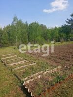Лот: 25290628. Фото: 17. 1-комн. дача , СНТ Ветеран-10...