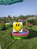 Лот: 21360699. Фото: 2. Продам дачу в пос. Водники (СНТ... Продажа