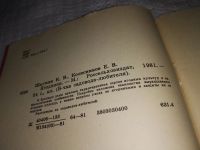 Лот: 13315964. Фото: 2. Шаумян К.В., Колесников Е.В. Ягодники... Дом, сад, досуг