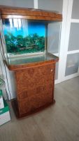 Лот: 18147976. Фото: 4. Аквариум Jebo R 362. Красноярск