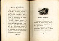 Лот: 17976947. Фото: 19. Дореволюционная , детская книжка...