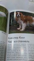 Лот: 9974663. Фото: 5. Отличный подарок. Книга. Полная...