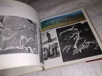 Лот: 13547669. Фото: 10. oz/вбЮ(2092322)Сакка Виктор, Алтайское...