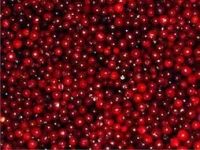 Лот: 4971536. Фото: 2. брусника северная урожай 2024... Продукты