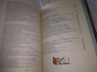 Лот: 20872725. Фото: 3. ВбЮ/OzЮ (209232) Круглый год -... Литература, книги
