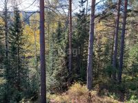 Лот: 25294598. Фото: 15. 1-комн. дача , садоводческое некоммерческое...