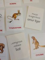 Лот: 20303394. Фото: 2. Обучающие карточки дикие животные. Учёба (Школа, вуз)
