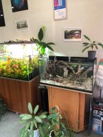Лот: 25885488. Фото: 9. Продается студия аквариумного...