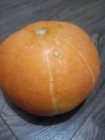 Лот: 18229261. Фото: 2. Тыква. Продукты