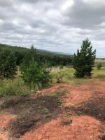 Лот: 25294823. Фото: 2. участок , ДНТ Чёрная Сопка ДНТ... Продажа