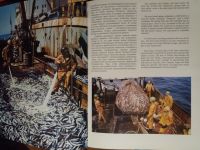 Лот: 12683785. Фото: 4. Фотоальбом-книга."Город морской... Красноярск
