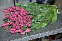 Лот: 1618976. Фото: 2. TULIPANO. Красноярск