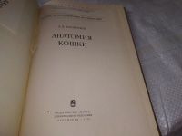 Лот: 19357601. Фото: 6. Ноздрачев А.Д. Анатомия кошки...