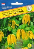 Лот: 4170152. Фото: 2. саженцы желтого тунгутского клематиса... Семена, рассада, садовые растения