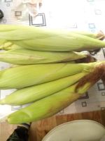 Лот: 16671085. Фото: 2. Кукуруза 2 кг. Продукты