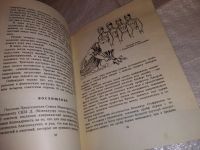 Лот: 13343712. Фото: 5. Пархитько В., Победители океана...