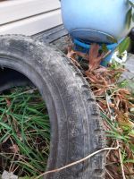 Лот: 18175794. Фото: 5. nokian hakka 5