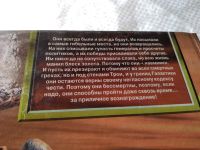 Лот: 9442540. Фото: 7. Бессмертие наемника, В.Шалыгин...